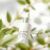 Acne-Derm: Jak stosować i dbać o wrażliwą skórę?